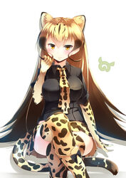  absurdres animal_ears black_bow black_shirt blonde_hair boots bow breasts brown_hair cheetah_ears cheetah_print cheetah_tail collared_shirt commentary crossed_legs elbow_gloves extra_ears female footwear_bow gloves gradient_hair hand_up highres japari_symbol kanzakietc kemono_friends king_cheetah_(kemono_friends) knee_boots long_hair looking_at_viewer medium_breasts multicolored_hair necktie orange_eyes print_footwear print_gloves print_necktie print_thighhighs shirt short_sleeves simple_background sitting smile solo tail thighhighs very_long_hair white_background 