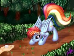  2016 4:3 absurd_res ass_up cutie_mark detailed_background disembodied_hand duo elzzombie equid equine female feral forest friendship_is_magic hair hasbro hi_res mammal multicolored_hair my_little_pony mythological_creature mythological_equine mythology pegasus plant purple_eyes rainbow_dash_(mlp) rainbow_hair salt_cube tree wings 