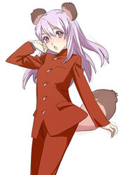  blazer jacket kemonomimi long_hair male_school_uniform nishieda open_mouth pants purple_eyes purple_hair school_uniform tail tanuki_ears tanuki_tail tanukimimi 