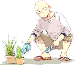  1boy bald cactus doudoude_dou gardening male_focus one-punch_man plant potted_plant saitama_(one-punch_man) sandals solo squatting trowel watering watering_can 