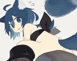  ahoge animal_ears ass bare_shoulders belt_bra black_bra blue_eyes blue_hair blush boots bottomless bra commentary_request female flying_sweatdrops foreshortening from_below grey_background looking_at_viewer original pappii_(paprika_shikiso) paprika_shikiso parted_lips short_hair simple_background sitting solo tail underwear 