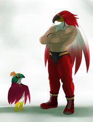  abs absurd_res ambiguous_gender angry anthro athletic avian beak biceps bird black_eyes boots bottomwear bulge claws clothed clothing crossed_arms crossover digital_media_(artwork) duo fatal_fury feathered_wings feathers footwear frown fur garou:_mark_of_the_wolves generation_6_pokemon glistening green_eyes hawlucha hi_res human king_of_fighters looking_down looking_up male mammal manly mask muscular muscular_male navel nintendo nude orange_body orange_fur pants pecs pokemon pokemon_(species) red_body red_fur shadow shoes simple_background size_difference snk sssonic2 standing tizoc topless white_background white_body white_fur wings wrestler yellow_eyes 