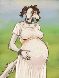  anthro armband black_armband black_collar blush bra_strap brown_eyes brown_hair canid canine canis clothing collar domestic_dog dress female fur grey_highlights hair hi_res highlights_(coloring) hunting_dog indi_navin_(indigobx) indigobx mammal maternity_dress pregnant pregnant_female saluki sighthound solo white_body white_clothing white_dress white_fur 