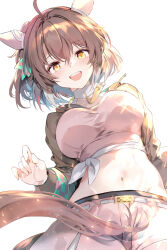  :d animal_ears blush breasts brown_hair checkered_ribbon dantsu_flame_(umamusume) ear_covers ear_ribbon female hair_between_eyes highres horse_ears horse_girl horse_tail long_sleeves looking_at_viewer medium_breasts midriff navel open_mouth short_hair smile solo stomach tail teeth umamusume upper_teeth_only uu-tan_(hushigi10) yellow_eyes 