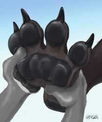  4_toes ambiguous/ambiguous ambiguous_gender anthro black_pawpads brown_body brown_fur claws duo feet foot_focus foot_rub fur grey_body grey_fur kencougr massage pawpads paws simple_background toe_claws toes 