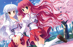  2girls absurdres blue_eyes blue_hair cherry_blossoms hair_ribbon half_updo highres holding_hands interlocked_fingers marginal_skip mitha multiple_girls neithright_heithlover red_eyes red_hair ribbon school_uniform sheila_el_elise thighhighs white_legwear 