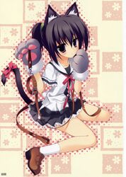  animal_ears animal_hands black_hair cat_ears collar female gloves highres itou_mikoto koiiro_soramoyou lucie paw_gloves school_uniform solo tail 