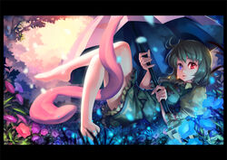  barefoot blue_eyes blue_hair border commentary_request female flower glowing heterochromia karakasa_obake legs legs_up lvans lying on_back photoshop_(medium) purple_umbrella red_eyes short_hair solo tatara_kogasa tongue touhou umbrella 