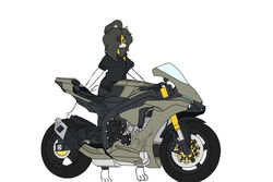  3:2 amelya_azra anthro bottomwear breasts canid canine clothed clothing digital_media_(artwork) female fox fur looking_at_viewer mammal motorcycle mzzrlaraz pants rider riding_motorcycle shirt smile solo topwear vehicle yamaha 