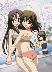  2000s_(style) 3girls absurdres ahoge artbook ass back bikini black_hair bow brown_eyes brown_hair color_issue gotou_junji hair_ornament hairbow happy highres katsura_kotonoha kiyoura_setsuna long_hair looking_at_viewer multiple_girls official_art open_mouth palm_tree photoshop_(medium) pool poolside saionji_sekai scan school_days short_hair shoulder_blades smile swimsuit tree water 