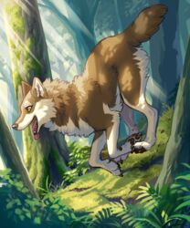  5:6 ayaka brown_body brown_fur canid canine canis claws countershading detailed_background fangs feral forest forest_background fur fuuga grass hi_res hybrid light light_beam looking_aside mammal nature nature_background pawpads paws plant quadruped running shrub smile solo tail teeth tongue tongue_out tree white_body white_fur wolfdog 