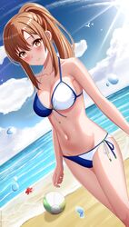  absurdres aoyama_nanami ball beach beachball bikini blue_sky breasts brown_eyes brown_hair chinese_commentary cleavage cloud commentary_request commission day dutch_angle feet_out_of_frame female front-tie_bikini_top front-tie_top halterneck highres horizon huanyi_huanhuanzi long_hair medium_breasts ocean outdoors pixiv_commission ponytail sakura-sou_no_pet_na_kanojo side-tie_bikini_bottom sidelocks sky solo starfish string_bikini swimsuit two-tone_bikini 