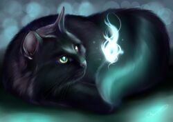  2017 ambiguous_feral ambiguous_gender black_body black_fur black_tail blue_glow colored digital_media_(artwork) digital_painting_(artwork) domestic_cat duo felid feline felis feral fluffy fluffy_tail fur ghost glowing grey_inner_ear grey_nose hi_res light lighting long_tail looking_at_another lying mammal martith mouth_closed nusse_(artmina16) on_side quadruped shaded simple_background spirit tail whiskers yellow_eyes 