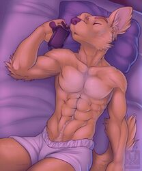  abs anthro bed biceps biped body_hair boxers_(clothing) canid canine canis cellphone chase_(retriever) closed_eyes clothed clothing digital_media_(artwork) domestic_dog electronics fur furniture happy_trail hi_res lying male mammal muscular muscular_anthro muscular_male night on_back pecs phone pillow portrait sleeping solo tail three-quarter_portrait topless underwear vallhound 