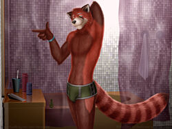  3d_(artwork) ailurid anthro bathroom black_body black_fur black_nose bottomwear bracelet brown_body brown_fur bulge clothed clothing dan_scarlet digital_media_(artwork) fur green_eyes jewelry male mammal mirror orange_body orange_fur red_body red_fur red_panda shorts smile solo topless underwear whiskers white_body white_fur 