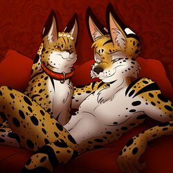  1:1 2016 ambiguous_gender anthro brown_eyes cherushi collar duo felid feline feral hi_res looking_at_viewer lying male mammal navel nude on_back one_eye_closed pillow serval 