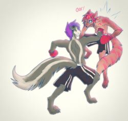  anthro belly boxing boxing_gloves canid canine clothing duo faedyn fight fox handwear male mammal mephitid punch shiply simple_background skunk sport text white_background 