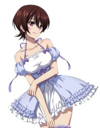  bow brown_hair collarbone cowboy_shot dress garters hair_between_eyes leaning_to_the_side looking_at_viewer purple_bow purple_eyes purple_ribbon ribbon shiny shiny_skin short_dress short_hair sleeveless sleeveless_dress smile solo standing strike_the_blood tokoyogi_yuuma transparent_background 