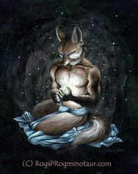  2001 anthro bottomwear canid canine clothing fennec_fox fox loincloth magic male mammal rog_minotaur solo star text true_fox url 