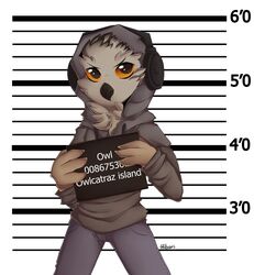  anthro avian beak bird chart clothed clothing feathers height_chart hi_res hibarikatsuru holding_object holding_sign imperial_unit jail_placard looking_at_viewer male mugshot number owl placard sign solo unit 