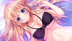  bare_shoulders bed bikini black_bikini blue_eyes blush breasts cleavage collarbone female female game_cg highres kino_(kino_konomi) kino_konomi konomi_(kino_konomi) large_breasts long_hair looking_at_viewer lying navel orange_hair shinonome_setsuna shirogane_x_spirits solo swimsuit 