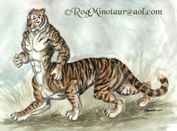  2000 abs felid felid_taur male mammal mammal_taur pantherine pantherine_taur rog_minotaur solo taur text tiger tiger_taur url walking 