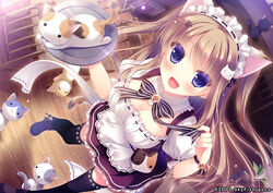  2013 animal_ears bell cat_ears cat_tail dated dress feline female female game_cg jingle_bell looking_at_viewer nyan_cafe_macchiato tail uniform waitress yukie_(peach_candy) 