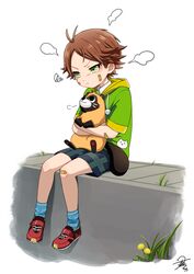  1boy :t absurdres animal antenna_hair bad_id bad_twitter_id bandaid bandaid_on_face bandaid_on_knee bandaid_on_leg blue_socks brown_hair crying crying_with_eyes_open dandelion flower foot_dangle full_body green_eyes highres holding holding_animal hood hoodie leaf lolicon looking_at_another looking_down looking_up male_focus plant pout red_footwear shoes short_sleeves shorts signature sitting sneakers socks solo squiggle tanuki tearing_up tears tsukimori_fuyuka urashimasakatasen uratanuki utaite v-shaped_eyebrows yamadanuki 