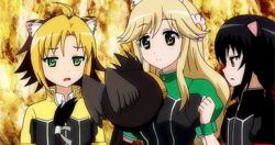  animal_ears animated animated bird black_hair blonde_hair blush breast_smother bunny_ears cat_ears dog_days female flower hair_flower hair_ornament jaune_clafoutis long_hair multiple_girls noir_vinocacao open_mouth short_hair vert_farbreton 