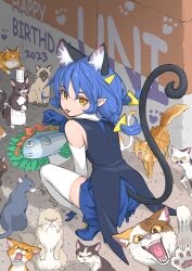  anger_vein angry animal_ears apron back blue_hair blue_skirt boots braid cat_ears cat_girl cat_tail chef_hat coattails commentary_request dated feline fish from_above from_behind gloves hair_ornament happy_birthday hat high_heel_boots high_heels highres looking_at_viewer looking_back outdoors paw_print plate precure puffing_up skirt squatting tail tail_raised thighhighs too_many too_many_cats triangle_hair_ornament tuqi_pix turning_head twin_braids urban white_apron yellow_eyes yuni_(precure) zettai_ryouiki 