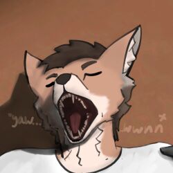  1:1 ambiguous_gender brown_body brown_fur brown_hair canid canine canis closed_eyes clothing coyote detodayote detomiks fur hair mammal open_mouth pink_tongue shirt solo tan_body tan_fur teeth tongue topwear white_clothing white_shirt white_topwear yawn 