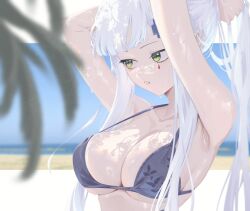  adjusting_hair arms_up beach bikini bikini_top_only blue_sky blurry breasts cleavage commentary cross_hair_ornament depth_of_field female girls&#039;_frontline green_eyes hair_ornament highres hk416_(girls&#039;_frontline) letterboxed long_hair ocean parted_lips print_bikini sand sidelocks sky solo swimsuit symbol-only_commentary tattoo teardrop_facial_mark teardrop_tattoo upper_body vegetation weisskaeppchen wet white_hair 