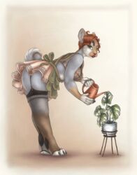  anthro bent_over breasts brown_hair claws clothed clothing dress female fur garter_straps grey_body grey_fur hair hi_res housewife lagomorph legwear lips lipstick looking_at_viewer makeup mammal midriff pika red_lips red_lipstick s00t solo stockings watering watering_can 