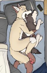  absurd_res anthro bed brown_spots canid canine canis closed_eyes cozy cuddling curled_up electronics fur furniture hi_res laserkitten lazer_(laserkitten) male mammal multicolored_body multicolored_fur nude pawpads paws phone plushie sleeping solo spots tan_body tan_fur wolf wolf_plushie 