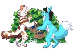  anthro basket big_ears blberrylicious blue_body blue_fur blueberry_(fruit) canid canine canis container duo ear_piercing eyewear female feral food forest forest_background fox fruit fur fur_markings glasses gynomorph happy hi_res hybrid industrial_piercing intersex intersex/female male male/female mammal marble_fox markings nature nature_background pawpads paws piercing plant pumpkin red_fox romantic romantic_couple shrub smile spicybeetle spots spotted_body spotted_fur talking_to_another talking_to_partner tattoo tramp_stamp tree true_fox unknown_artist white_body white_fur wolf 