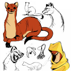  1:1 female feral hi_res hood hooded looking_at_viewer mammal meroko_meyoko mouse_guard mustelid musteline scar scars_all_over semi-anthro simple_background solo stoat true_musteline weasel white_background zada_(fan_character) 