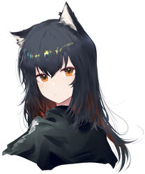  animal_ears arknights black_capelet black_hair brown_eyes capelet closed_mouth commentary_request cropped_torso ear_piercing female highres korean_commentary long_hair looking_at_viewer piercing runamonet simple_background solo texas_(arknights) upper_body white_background wolf_ears wolf_girl 