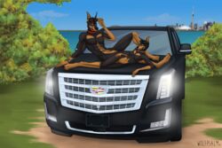  2019 3:2 anthro cadillac canada canid canine canis cn_tower digital_media_(artwork) dobermann domestic_dog duo female hi_res hojozilla island kiyani landmark male mammal motor_vehicle pinscher sibling_(lore) suv toronto vehicle wolfpsalm 