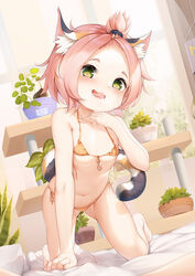  :d all_fours alternate_costume an-telin animal_ears bangs_pinned_back bed bed_sheet bikini blush cat_ears cat_girl cat_tail commentary_request diona_(genshin_impact) female flat_chest genshin_impact green_eyes heart heart-shaped_pupils highres looking_at_viewer midriff navel open_mouth pink_hair plant potted_plant short_hair sidelocks smile solo swimsuit symbol-shaped_pupils tail tongue tongue_out yellow_bikini 