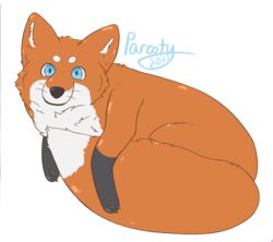  ambiguous_gender black_arms black_nose blue_eyes canid canine feral fluffy fox fur mammal orange_body orange_fur parooty simple_background solo whiskers white_background white_body white_fur 