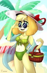  animal_crossing anthro beach bikini canid canine canis clothing domestic_dog eyewear female hi_res isabelle_(animal_crossing) looking_at_viewer mammal nintendo seaside solo sun sunglasses swimwear zombikiss 