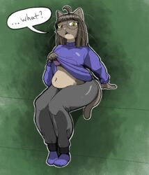  anthro beheleaf belly big_belly bra bra_peek breasts clothed clothing digital_media_(artwork) domestic_cat felid feline felis female fur hair hi_res looking_at_viewer mammal minna_(beheleaf) navel simple_background slightly_chubby solo text underwear 