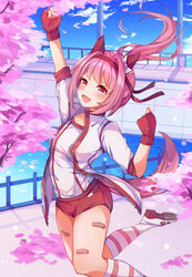  absurdres animal_ears arm_up bandaid bandaid_on_leg buruma cherry_blossoms chinese_commentary commentary_request female fingerless_gloves gloves haru_urara_(umamusume) highres horse_ears horse_girl horse_tail leg_up open_mouth outdoors pink_eyes pink_hair ponytail roppongi_(fmcn7578) sky solo tail thighs umamusume 