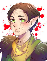  animification armor blood brown_hair dragon_age dragon_age_2 elf facepaint facial_tattoo female green_eyes merrill_(dragon_age_2) pauldrons pointy_ears portrait rezoeline short_hair shoulder_armor tattoo 