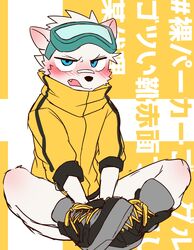  annoyed anthro band-aid bandage black_clothing black_jacket black_nose black_topwear blue_eyes blush canid canine canis clothing cute_fangs domestic_dog eyewear fur goggles hi_res jacket japanese_text kemono male mammal manadezimon multicolored_clothing multicolored_topwear shoelaces sitting solo text topwear two_tone_clothing two_tone_jacket two_tone_topwear white_body white_fur yellow_clothing yellow_jacket_(clothing) yellow_topwear 