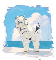  absurd_res anthro beach belly bent_over blue_eyes blush bottomwear bulge canid canine canis clothing domestic_dog floppy_ears footwear fur hi_res male mammal moobs navel nipples overweight overweight_male return026 sandals seaside shorts solo swimwear tajima_(tamacolle) tamacolle white_body white_fur 