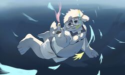  anthro belly bottomwear canid canine canis clothing domestic_dog eyewear fur goggles hi_res male mammal moobs navel nipples noting41097245 overweight overweight_male shorts snorkel solo swimming tajima_(tamacolle) tamacolle underwater water white_body white_fur 