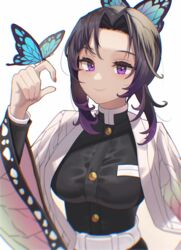  absurdres bad_id bad_pixiv_id belt blue_butterfly breasts bug butterfly butterfly_hair_ornament butterfly_on_hand buttons closed_mouth colored_tips demon_slayer_uniform female gradient_hair hair_intakes hair_ornament hand_up haori highres japanese_clothes kimetsu_no_yaiba kochou_shinobu long_sleeves looking_at_animal medium_breasts medium_hair multicolored_hair neil_(neil_nim) purple_eyes purple_hair sidelocks smile solo upper_body white_belt wide_sleeves 