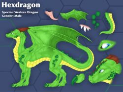  absurd_res aku_(artist) blue_eyes dragon english_text feral hexagons hexdragon hi_res male model_sheet mythological_creature mythological_scalie mythology scalie solo tail text wings 