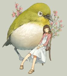  animal bare_legs bird brown_eyes brown_hair chair cherry_blossoms closed_mouth commentary_request expressionless eyebrows female grey_background highres japanese_white-eye long_sleeves looking_away original oversized_animal own_hands_together sandals short_hair simple_background sitting solo yoshida_seiji 